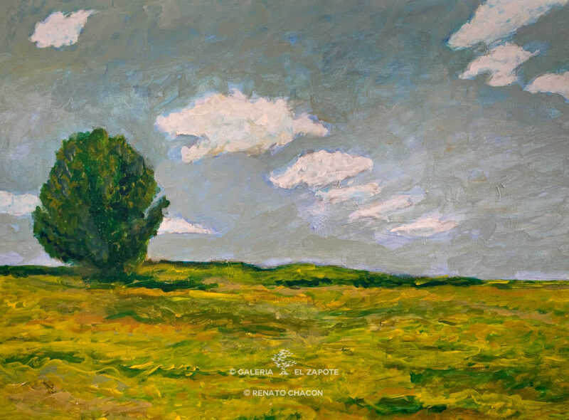 Renato Chacon | Paisaje de Carretera