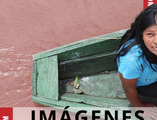 Colleen Casey Leonard: Images from the Amazon